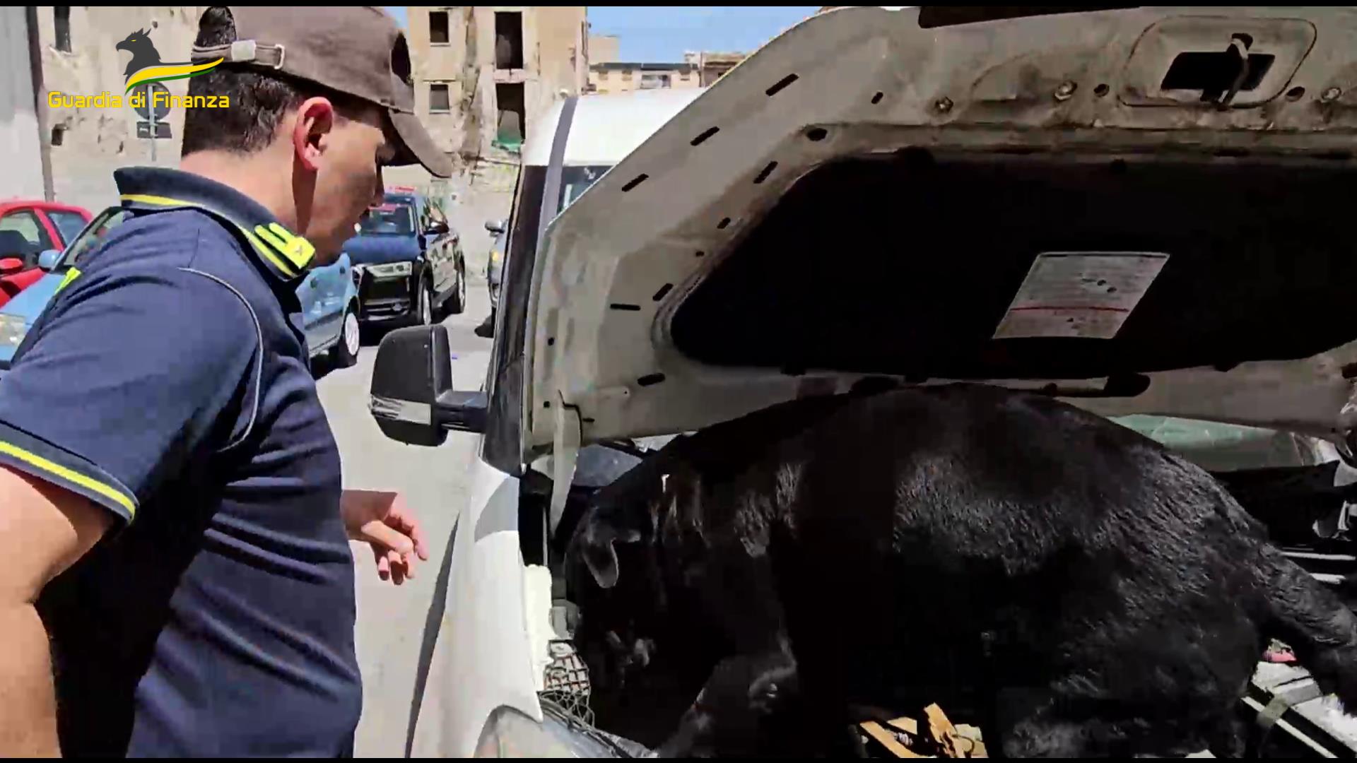 Narcotrafficante latitante ceco arrestato a Palermo su un furgone carico di cocaina – VIDEO