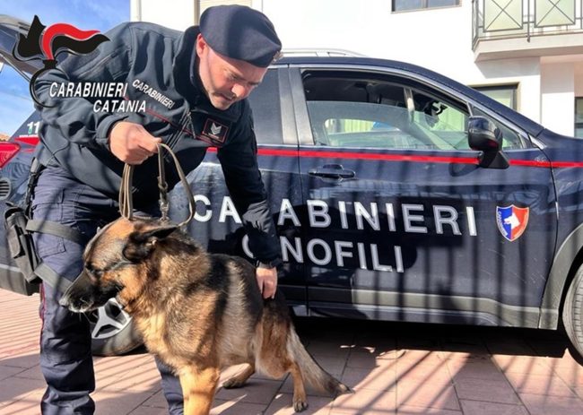 Controllo in una Comunità d’accoglienza a Pedara, i cani fiutano marijuana in bagno