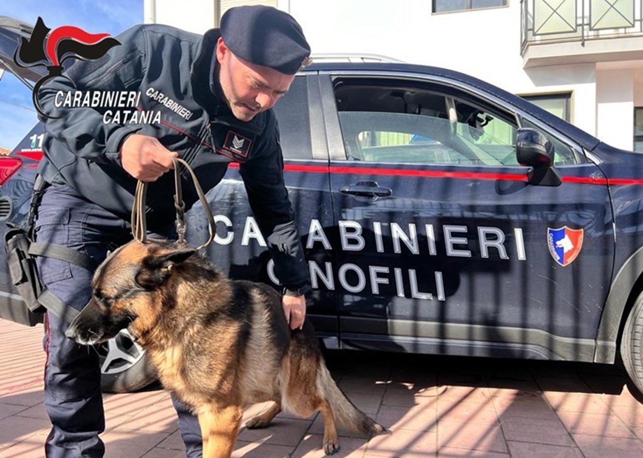 Controllo in una Comunità d’accoglienza a Pedara, i cani fiutano marijuana in bagno