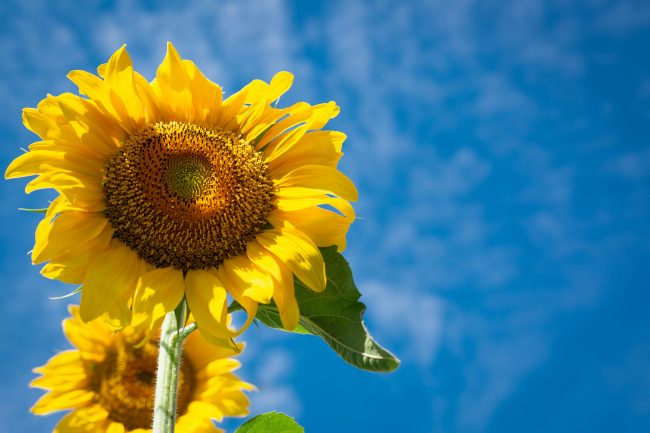 Meteo, domani in Sicilia si supereranno i 30 gradi: le PREVISIONI
