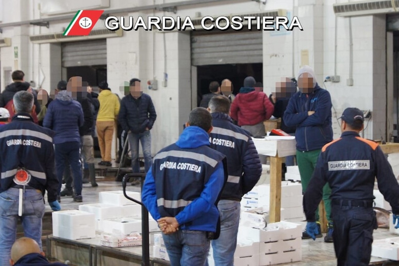 Blitz al mercato ittico di Palermo, venditori in fuga: sequestrati oltre mille chili di pesce