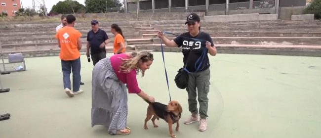 SterilizzaTour 2024: a Librino microchippatura, sterilizzazioni e visite veterinarie gratuite promosse da Lav