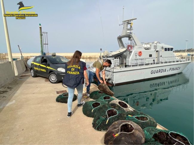 Sequestrati circa 5mila esemplari di ricci di mare pescati al porto di Licata