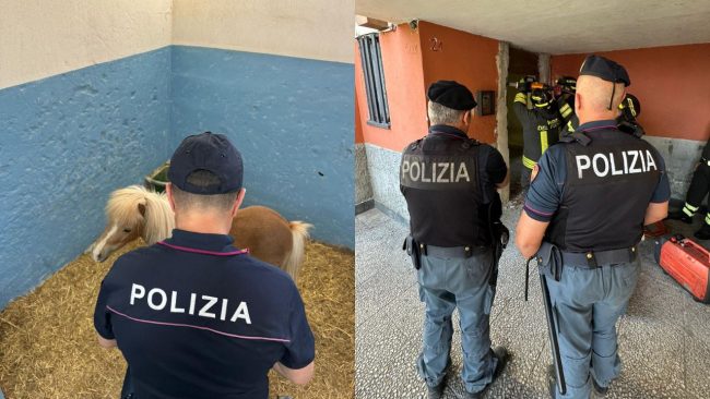 Controlli a San Giovanni Galermo, beccato un 17enne a spacciare e droga nascosta nelle campagne