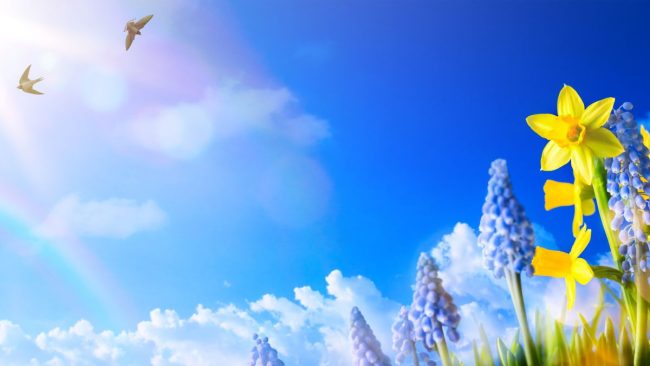 Previsioni meteo per il 2 giugno in Sicilia, il sole domina ma la pioggia non molla
