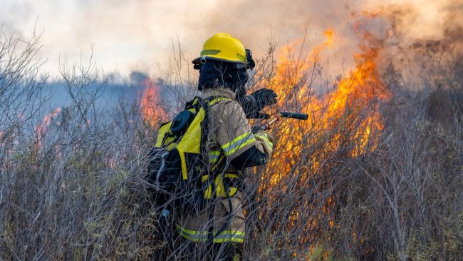 Muore mentre brucia delle sterpaglie in campagna, trovato il corpo carbonizzato