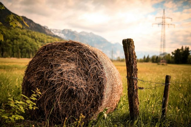 Agricoltore muore asfissiato in un cumulo di balle di fieno, la tragedia nelle campagne tra Canicattì e Racalmuto