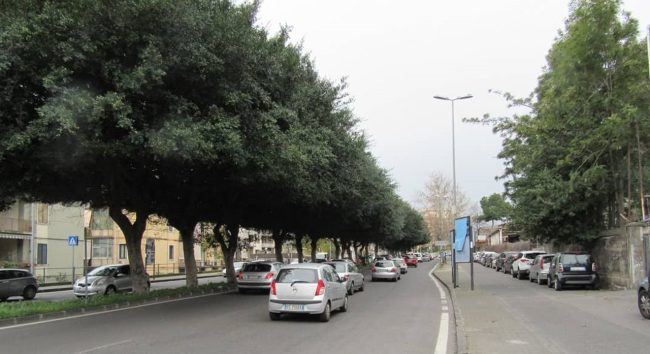 Autovelox e controlli semaforici lungo la Circonvallazione di Catania: cosa pensano i cittadini