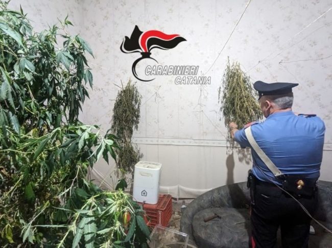 Villetta adibita a fabbrica di droga, 2 arresti a Catania