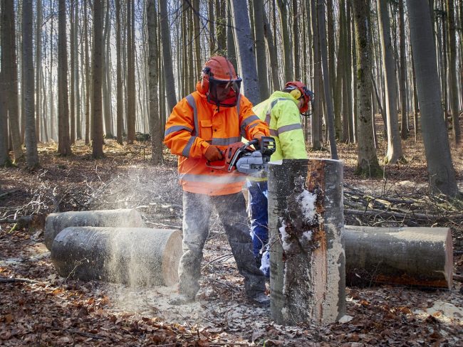 Lavoratori forestali trapanesi senza stipendio da 2 mesi: Flai Cgil, Fai Cisl e Uila Uil Trapani proclamano stato di agitazione