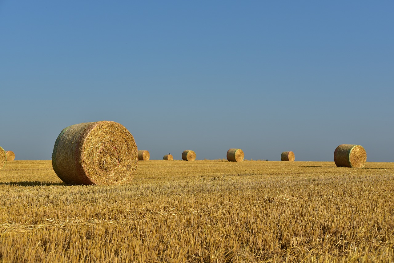 Tragedia a Canicattì, agricoltore perde la vita soffocato da una catasta di fieno