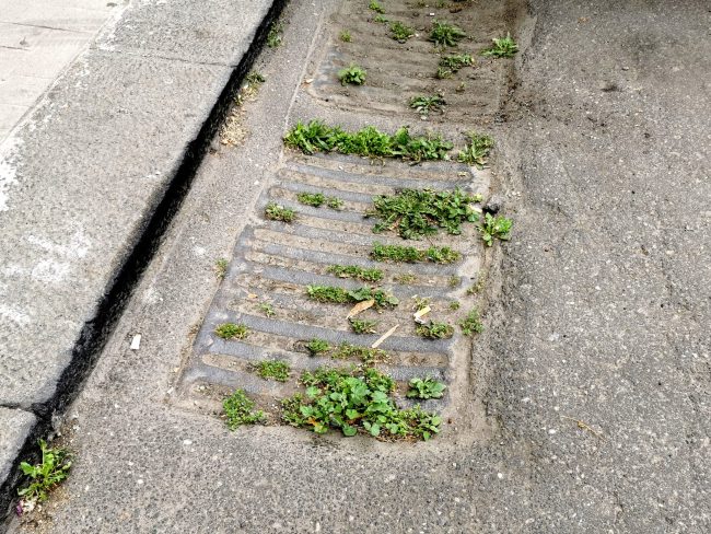 Emergenza tombini otturati in tutto il III municipio di Catania