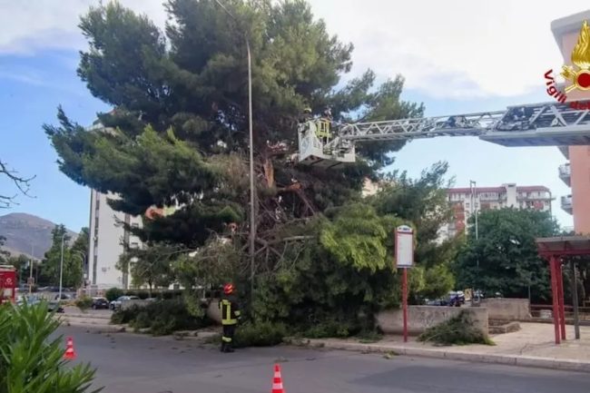 Palermo, grossi rami crollano in strada. Incendio in appartamento