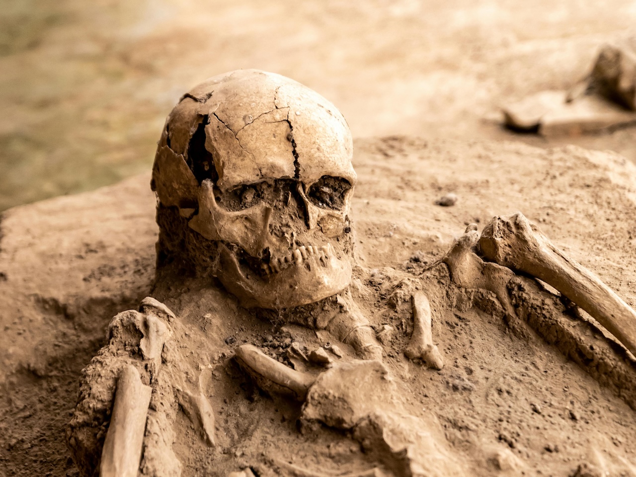 Ritrovamento resti umani a Castellammare, potrebbe trattarsi di una vittima di lupara bianca