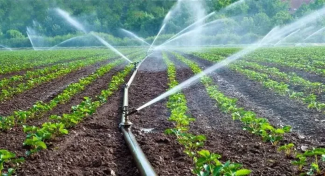 Reti irrigue, in gara interventi per 19 milioni in Sicilia occidentale. Schifani: “Al lavoro per risolvere criticità”
