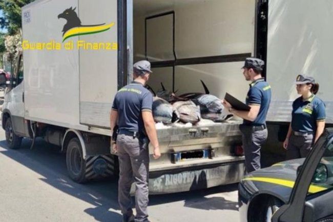 Depositi abusivi, tonno e pesce spada non tracciato: sequestrate 10 tonnellate a Palermo