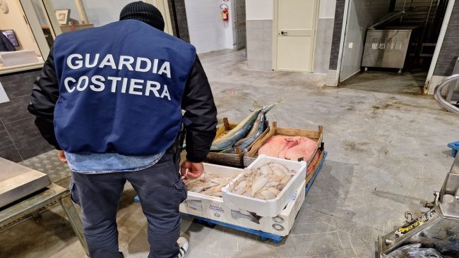 Maxi sequestro di tonno tra Catania e Siracusa: 32mila euro di multe totali