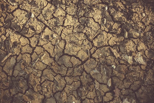 Siccità, via libera al piano da 20 milioni di euro per l’emergenza idrica in Sicilia