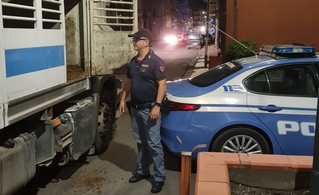 Animali trasportati senza autorizzazione e in condizioni pietose, denunciato tortoriciano