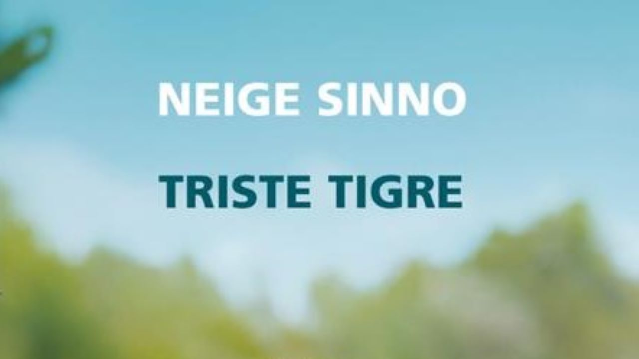 “Triste Tigre” di Neige Sinno