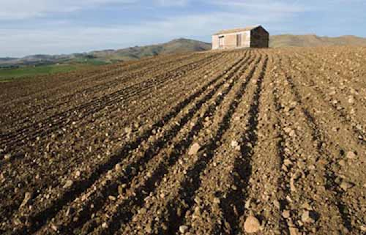 Siccità in Sicilia tra Storia e Culto