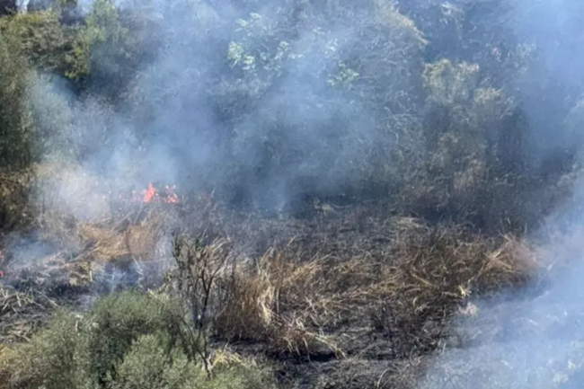 Almeno 4 incendi a Menfi, minacciate abitazioni e residenti si armano di secchi d’acqua