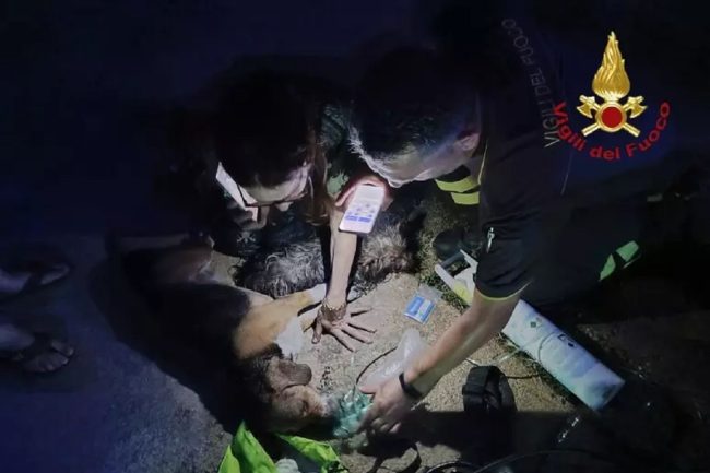 Scoppia incendio in un appartamento con all’interno due cani, uno sviene: rianimato dai soccorritori