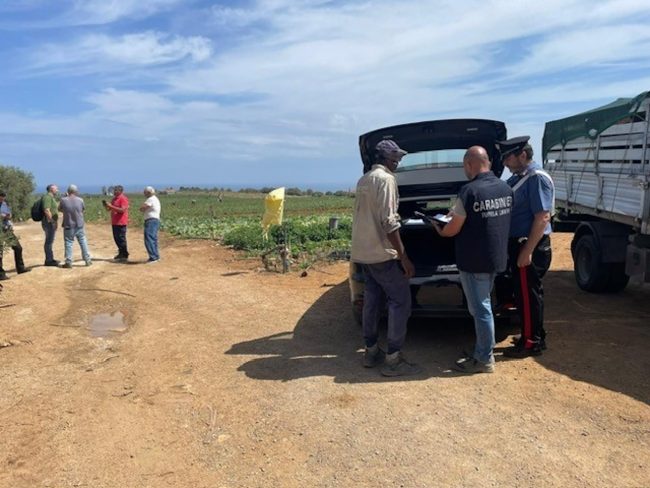 Caporalato, sospese quattro aziende nel Palermitano: scoperti 14 lavoratori in nero, 4 erano minori senza permesso di soggiorno
