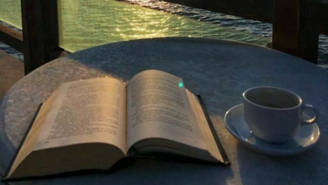 Fuga dai social, cinque libri da leggere sotto l’ombrellone