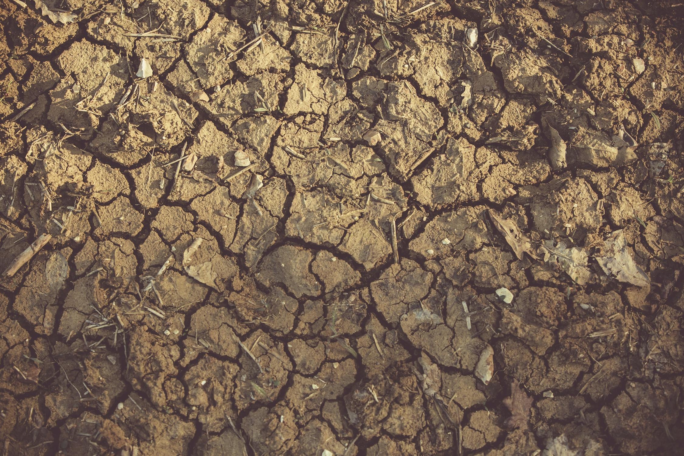 Le acque reflue del depuratore comunale per irrigare i campi di Sciacca: la decisione contro il problema siccità