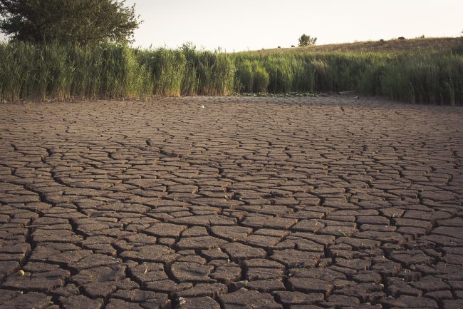 Siccità, c’è acqua in sole 9 regioni su 20
