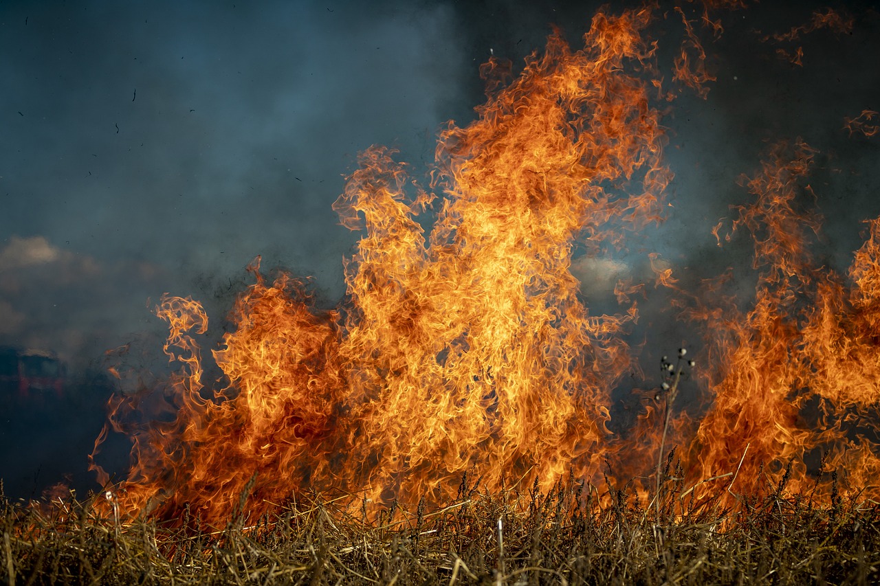 Giornata di incendi nel Palermitano, c’è un ferito