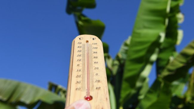 Meteo Sicilia, si prepara il weekend più caldo dell’estate: le PREVISIONI per domani