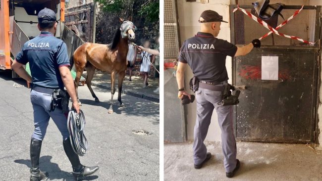 San Cristoforo a setaccio: stalle abusive, irregolarità e infrazioni al Codice della Strada