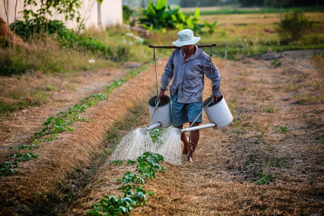 Catania, al via la distribuzione di kit per la prevenzione dei colpi di calore per gli operai agricoli
