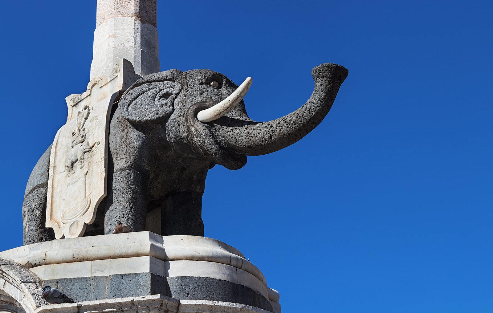 Si celebra oggi la Giornata Mondiale dell’Elefante. Significato storico e curiosità del simbolo di Catania