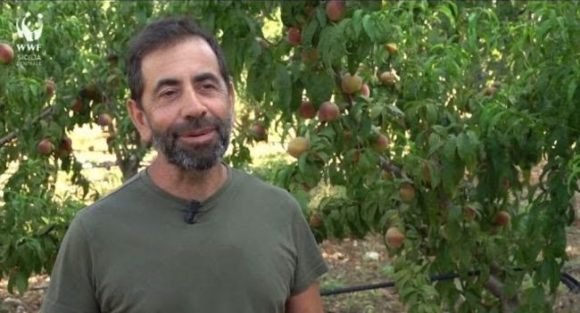 Siccità, il crowdfunding salverà un laghetto artificiale in Sicilia
