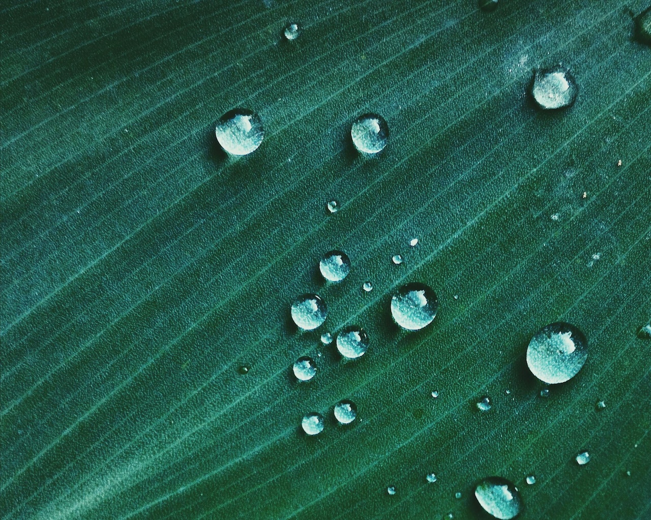 Imprenditori agricoli etnei all’asciutto per continui furti d’acqua. Confagricoltura Catania scrive a Schifani