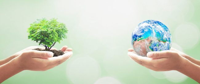 Schifani designa componenti dell’Osservatorio regionale sui cambiamenti climatici