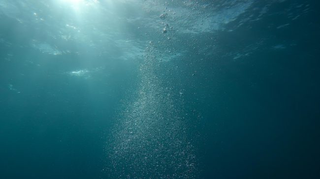 Cadavere in mare nel Trapanese: non è un migrante