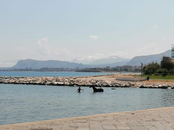 cavallo 2
