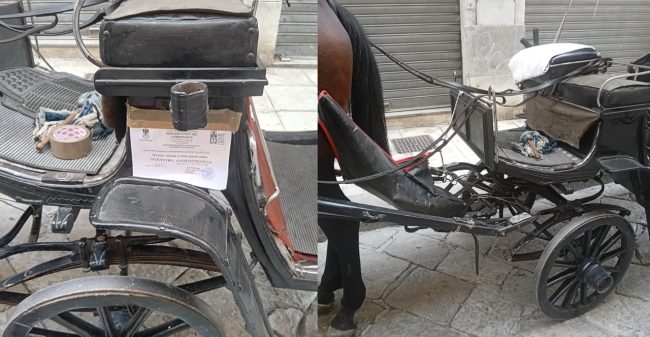 Palermo, sequestrata la carrozza di un cocchiere abusivo