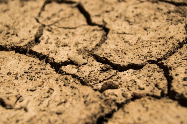 Siccità, via libera a 250mila metri cubi d’acqua dalla diga Castello per l’irrigazione di soccorso a Ribera
