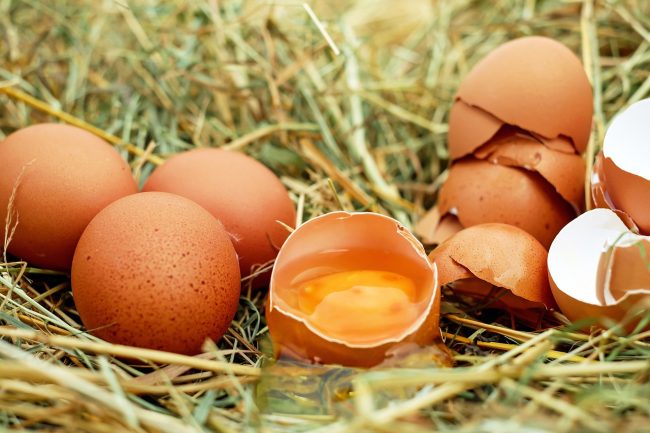 Allarme salmonella: richiamati diversi Lotti di uova dai supermercati in tutta Italia