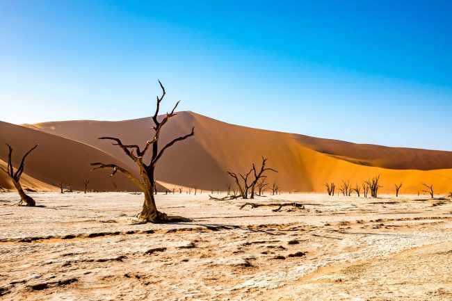 Siccità, agricoltori protestano a Ribera per chiedere altra acqua dalle dighe