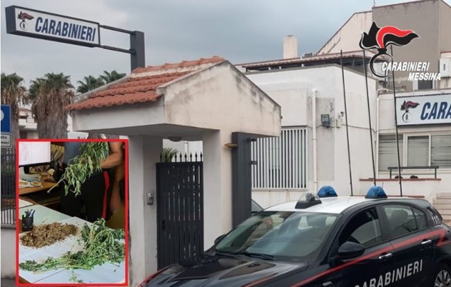 Coltivava cannabis nel terreno di casa: arrestato 50enne nel Messinese