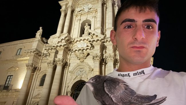 Soccorso rondone euroasiatico a Siracusa, la storia di “Azzurra”