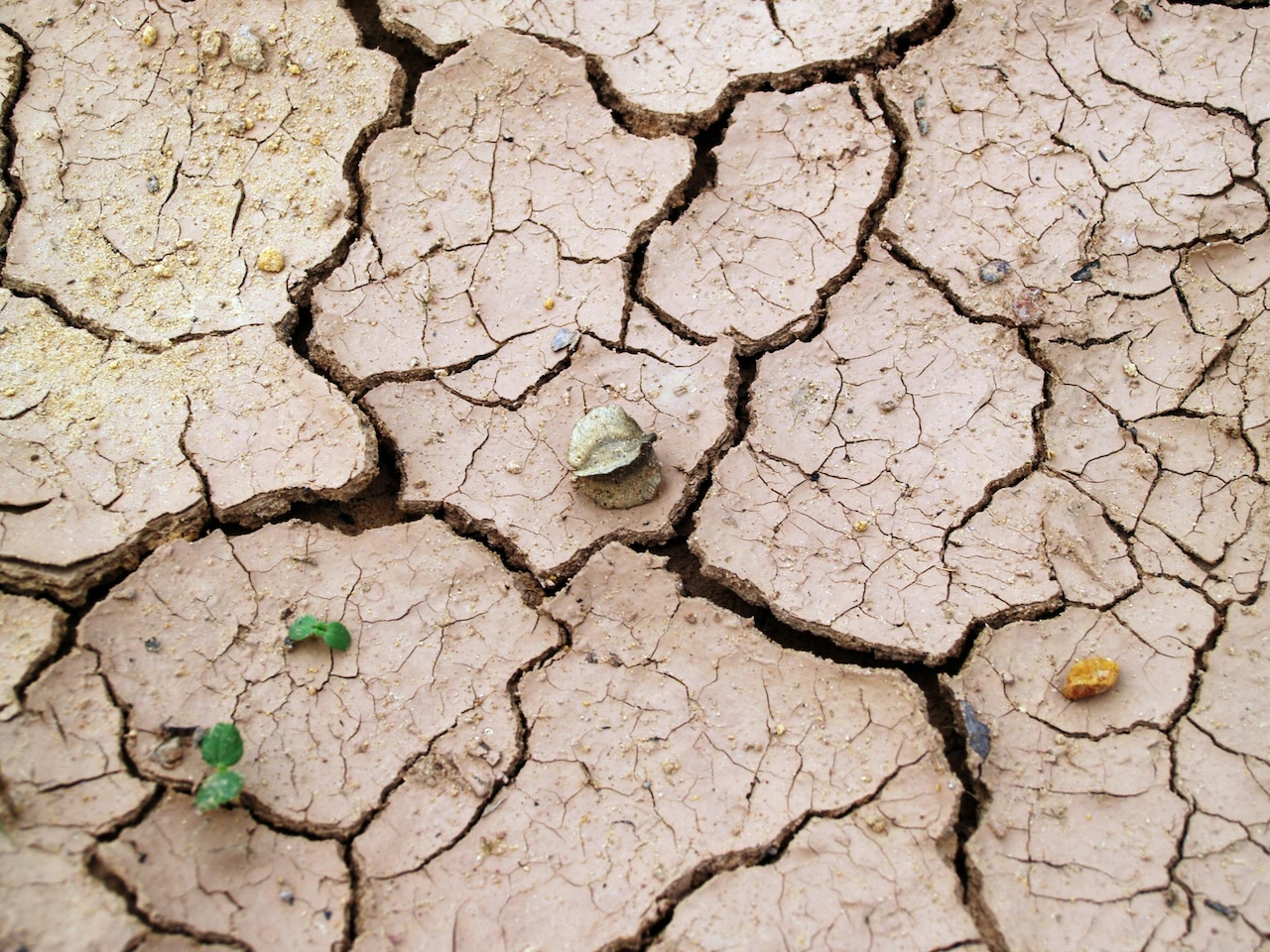 Siccità, acqua due invasi Enna e Caltanissetta per irrigazione di soccorso e allevamenti