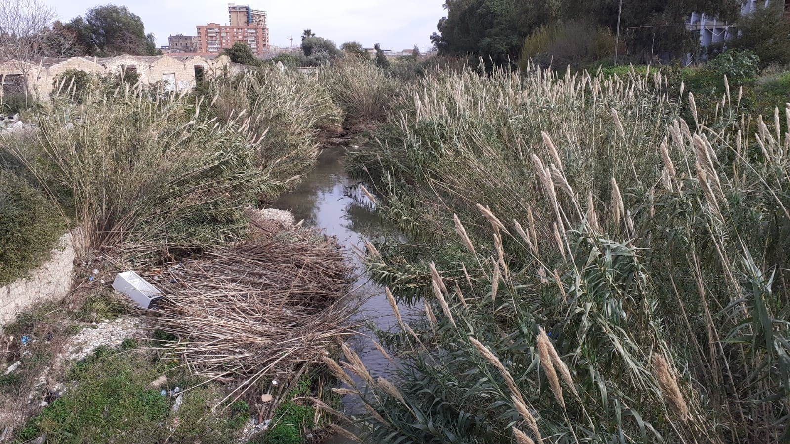 Dalla Regione 260mila euro per i lavori di rifunzionalizzazione idraulica del fiume Oreto