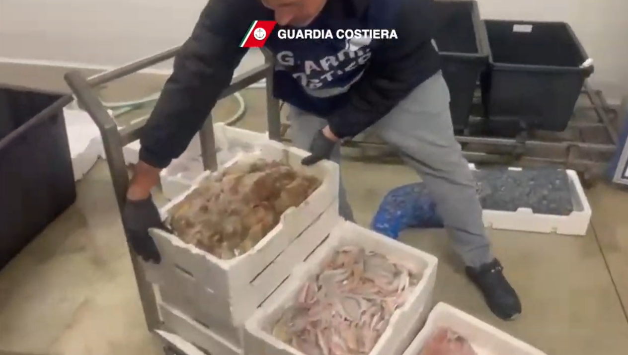 Operazione “Fish reproduction 2024” in Sicilia a tutela della filiera pesca